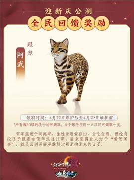 天龙八部私服怎样改名